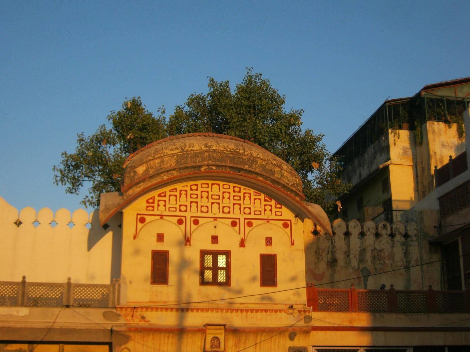 Rawla Mrignayani Palace Jaipur Buitenkant foto